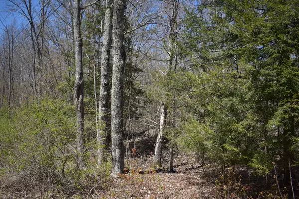 L 4-27 Page Road, Palmyra, ME 04965