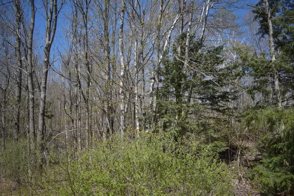 Palmyra, ME 04965,L 4-27 Page Road