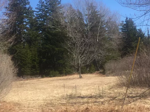 Vinalhaven, ME 04863,769 NORTH HAVEN RD N