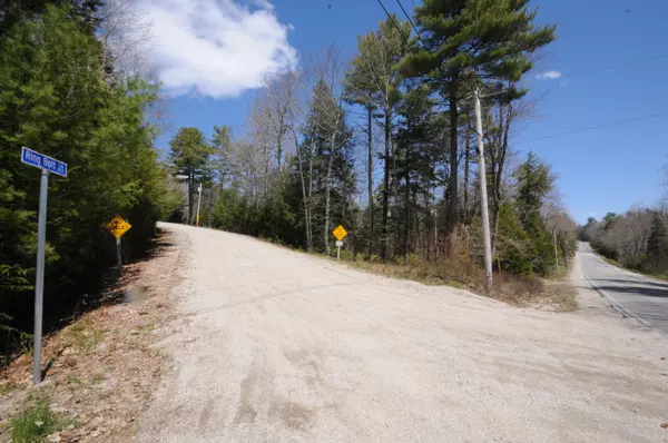 Surry, ME 04684,Lot 17 Ring Bolt LN