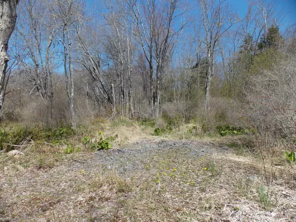 Stockton Springs, ME 04981,00 Rocky Point RD