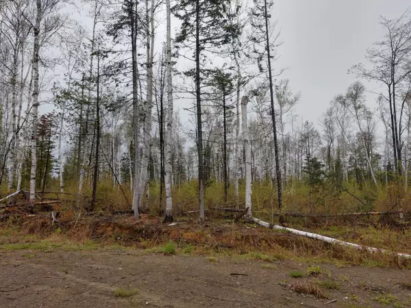 Presque Isle, ME 04769,140 Mountain RD