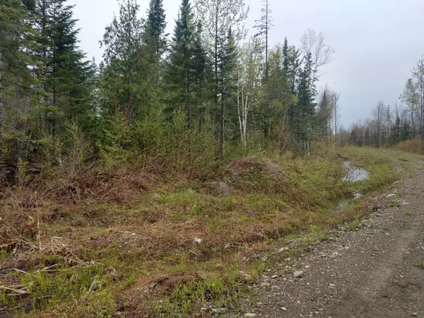 Presque Isle, ME 04769,140 Mountain RD