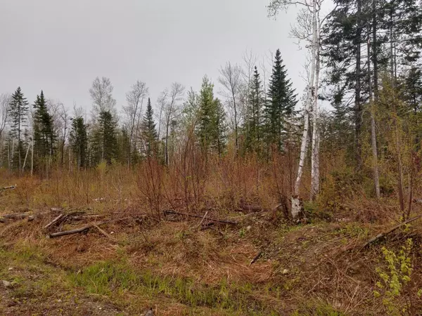 Presque Isle, ME 04769,140 Mountain RD