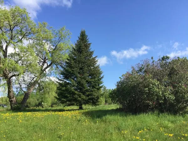 960 US-2, Wilton, ME 04294