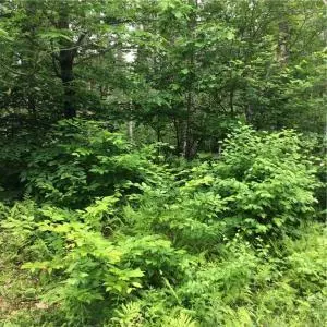 Northport, ME 04849,407 Beech Hill Rd RD