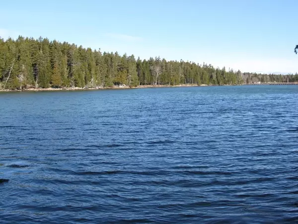 Milbridge, ME 04658,Lot 5N Tom Leighton Point Road