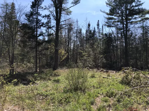 Lincolnville, ME 04849,00 Slab City RD