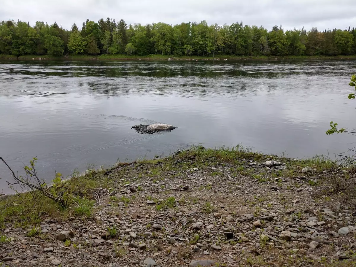 Mattawamkeag, ME 04459,157 Lot #1 Route 157 Route