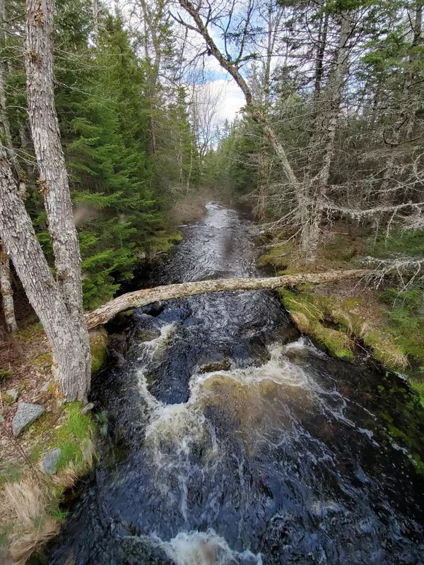 Northfield, ME 04654,0 Black Cow Meadow RD