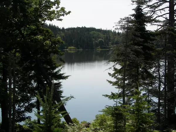 Vinalhaven, ME 04863,55 CALDERWOOD NECK RD NE