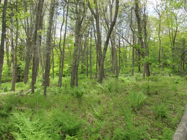 Stockton Springs, ME 04981,36 Norumbega RD