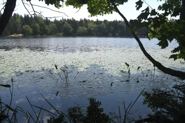 Deer Isle, ME 04627,00 Quaco RD