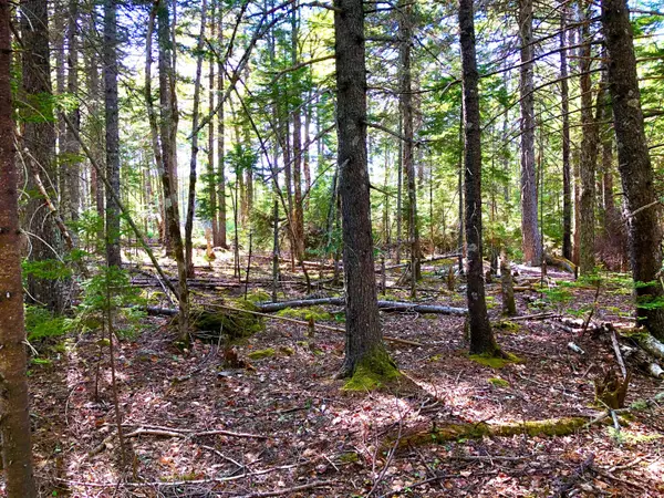 Southwest Harbor, ME 04679,210 Seal Cove RD