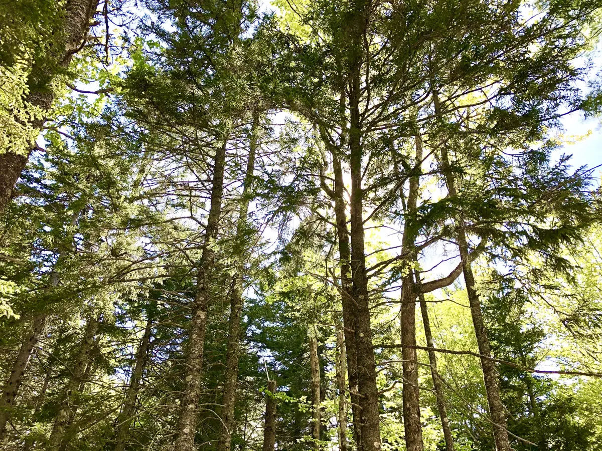 Southwest Harbor, ME 04679,210 Seal Cove RD