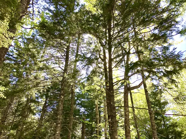 210 Seal Cove RD, Southwest Harbor, ME 04679