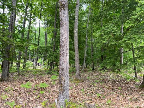 Gorham, ME 04038,Lot 101 Waterhouse RD