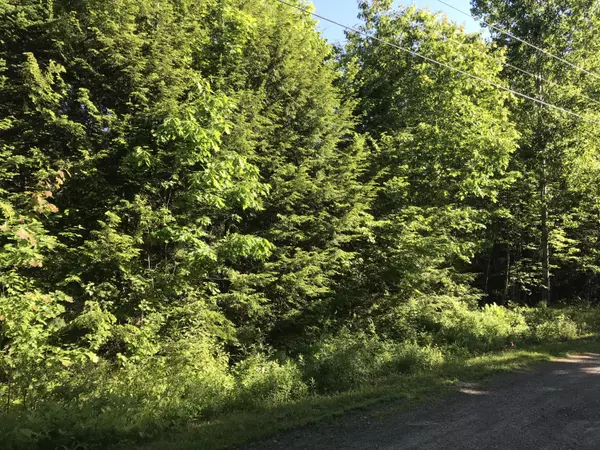 Gorham, ME 04038,0 Ira DR