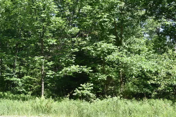 Winthrop, ME 04364,0 Route 41