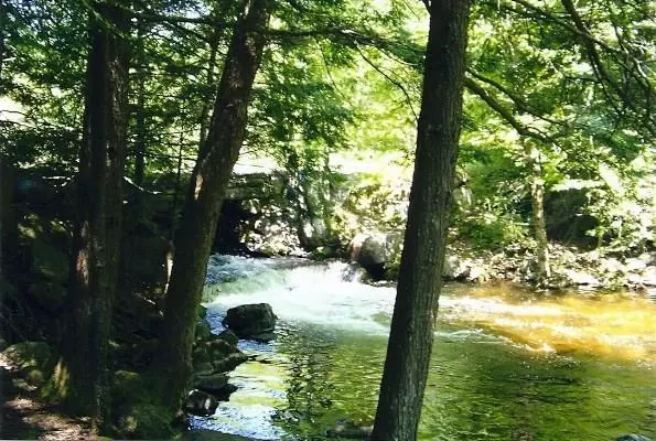 Lakeville, ME 04487,Lot D Dobsis RD