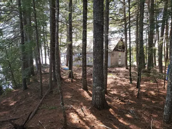 Lakeville, ME 04487,off Dobsis RD