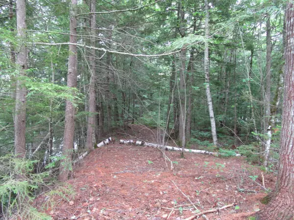 Howland, ME 04448,01 maxfield road RD