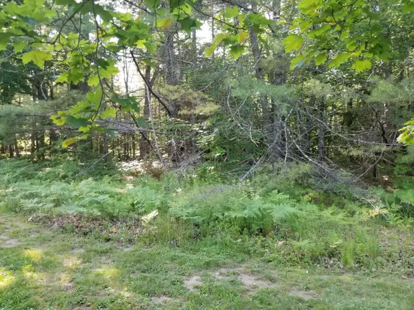 Nobleboro, ME 04555,77 Center ST