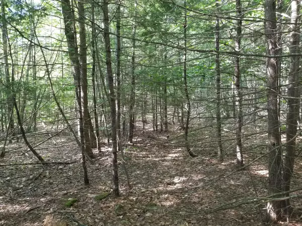 Nobleboro, ME 04555,77 Center ST