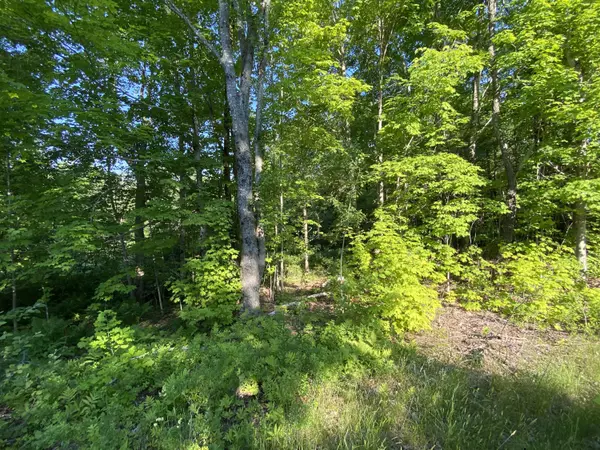 Argyle Twp, ME 04468,Off Edinburg RD