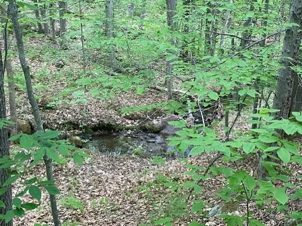 000 Streaked Mountain Road, Paris, ME 04281