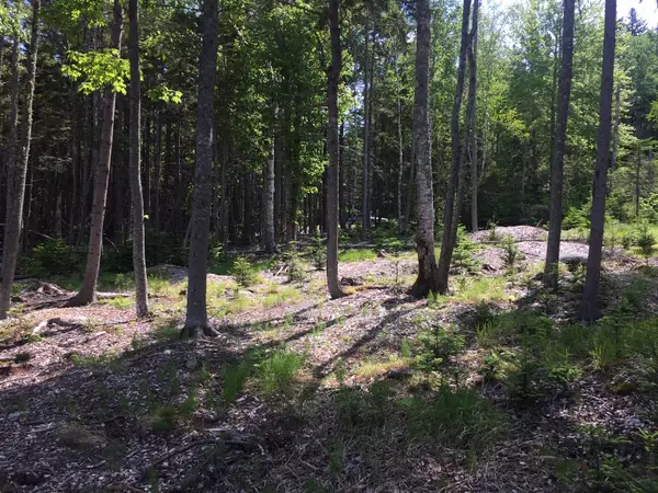 Milbridge, ME 04658,563 Rays Point Road