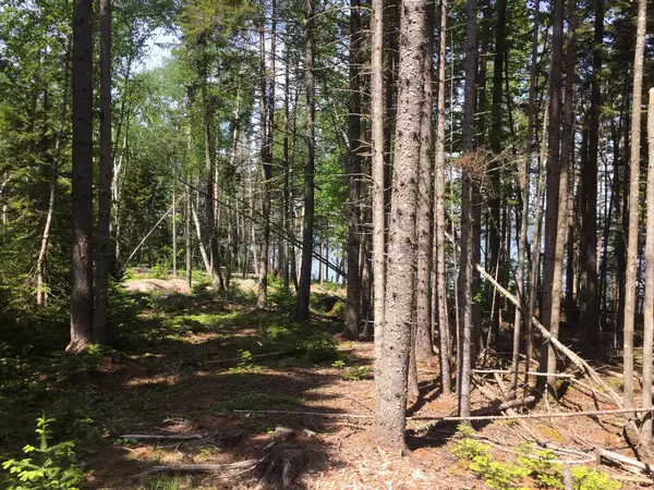 563 Rays Point Road, Milbridge, ME 04658