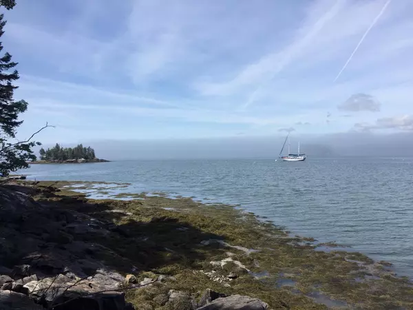 Milbridge, ME 04658,563 Rays Point Road