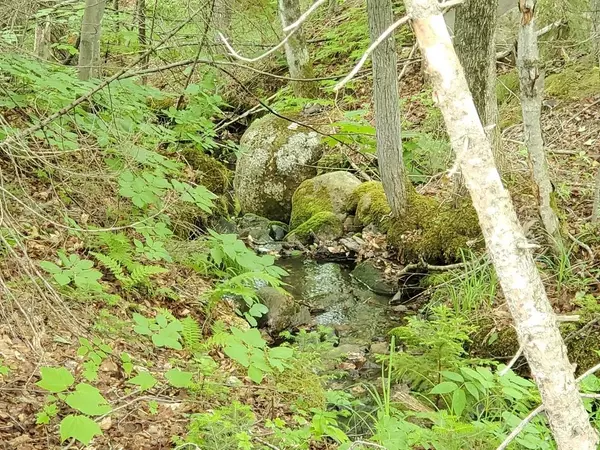 Phillips, ME 04966,258 Weld Road