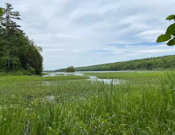 Freedom, ME 04941,52 Lewin Lane