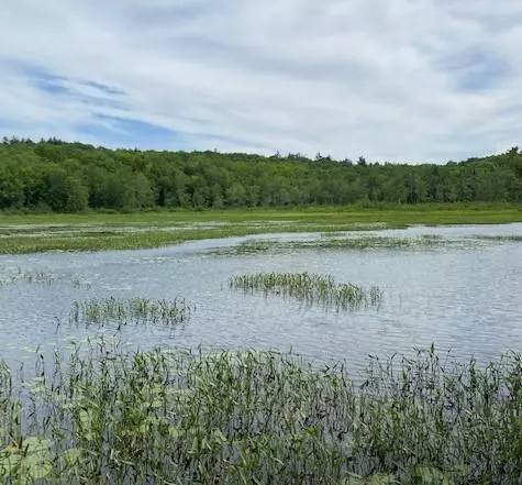 Freedom, ME 04941,52 Lewin Lane