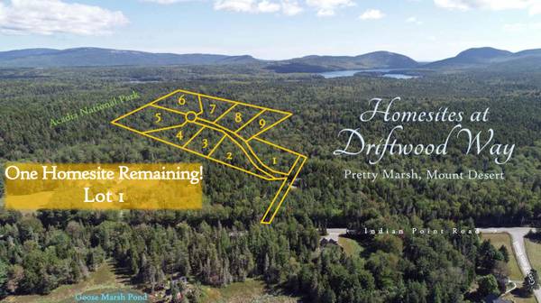 1 Driftwood WAY, Mount Desert, ME 04660