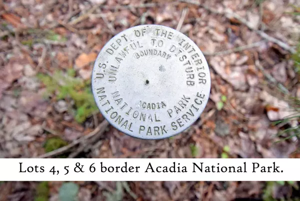 Mount Desert, ME 04660,Lot 5 Driftwood WAY