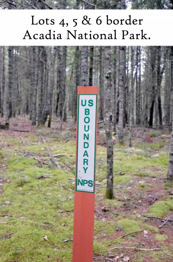 Mount Desert, ME 04660,Lot 5 Driftwood WAY