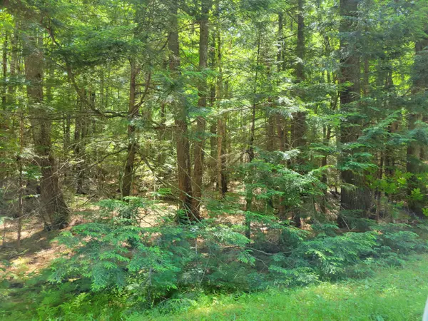 Waterford, ME 04088,2c Camp Joseph Avenue