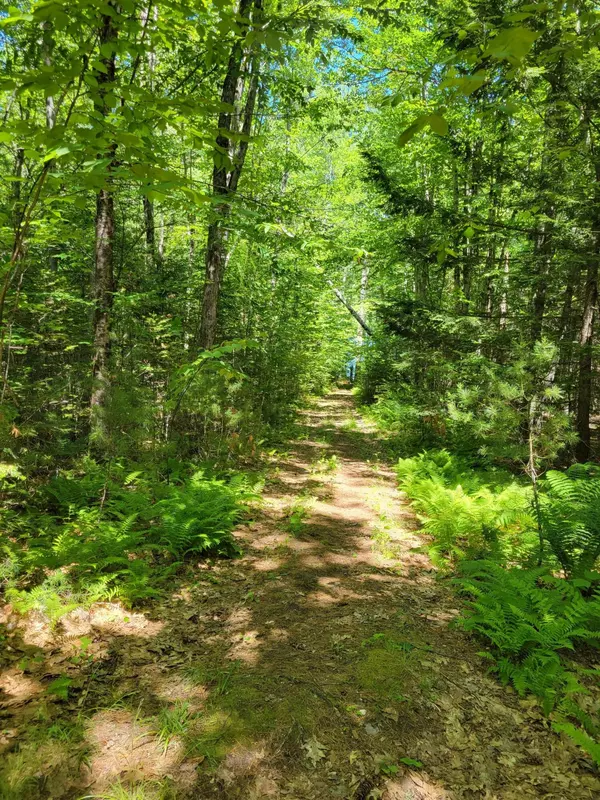 Waterford, ME 04088,2c Camp Joseph Avenue