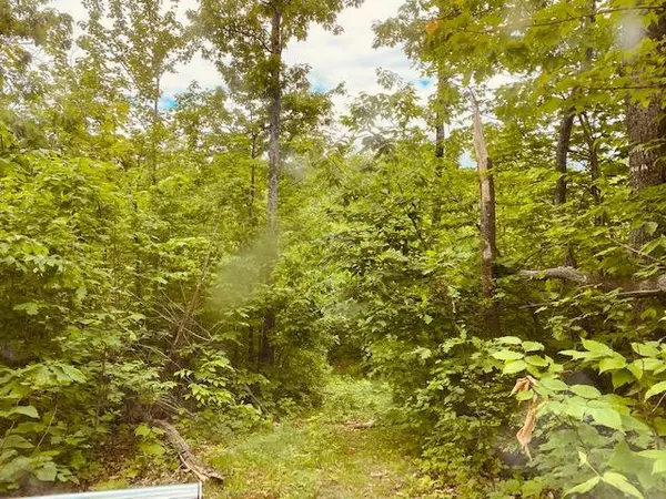 Peru, ME 04290,Lot 22 Dickvale RD SE