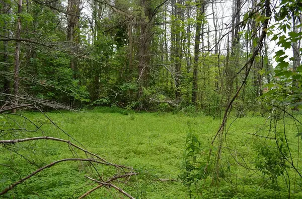 Newcastle, ME 04553,M11 L26 River RD