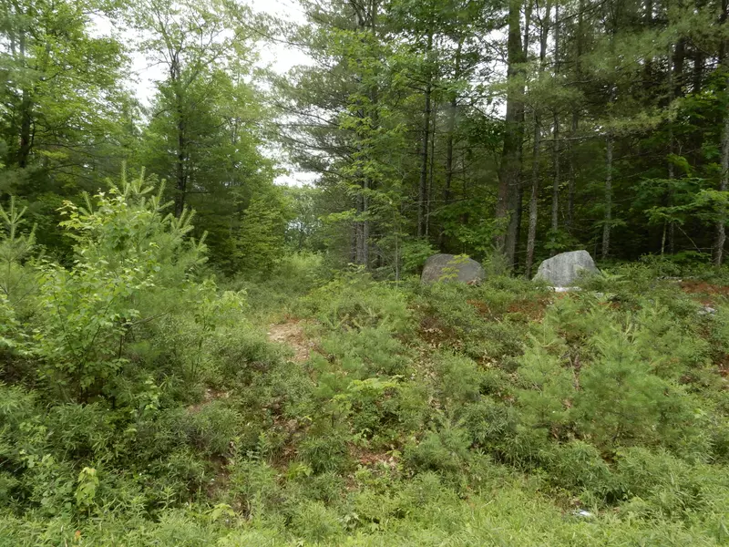 Lot 6 Oak Woods, Hiram, ME 04041