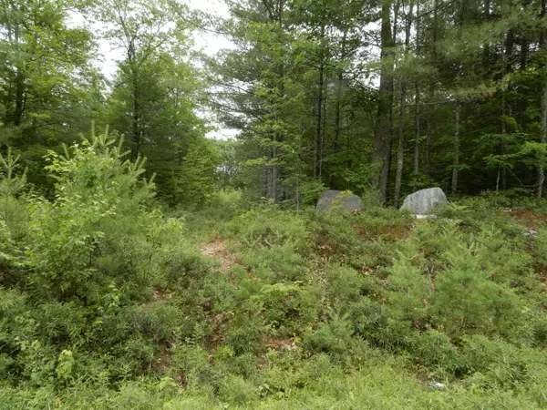 Lot 6 Oak Woods, Hiram, ME 04041