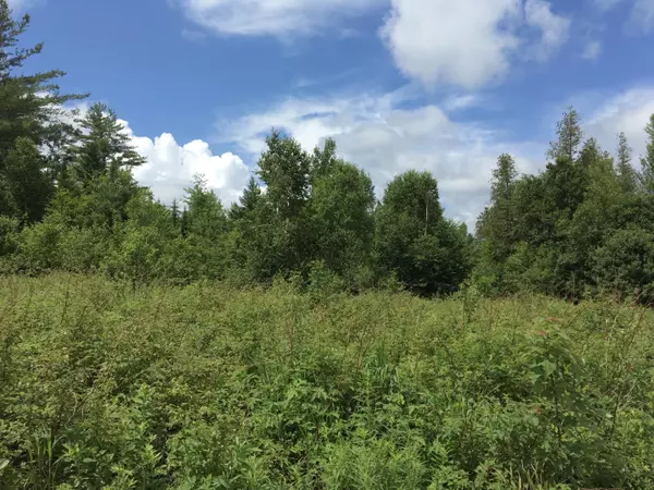 Sebec, ME 04481,M9L1 Old Brownville RD