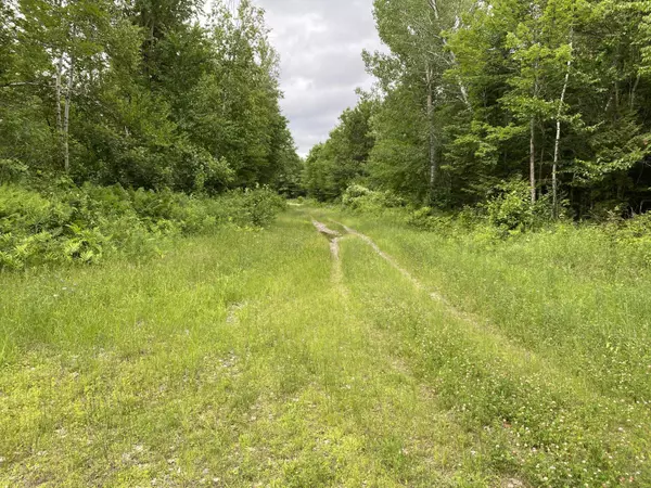 Lot 10 Averill RD, Prentiss Twp T7 R3 Nbpp, ME 04487