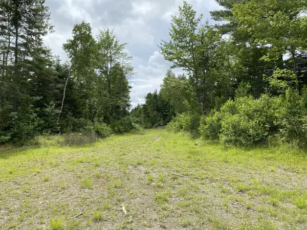 Prentiss Twp T7 R3 Nbpp, ME 04487,Lot 10 Averill RD