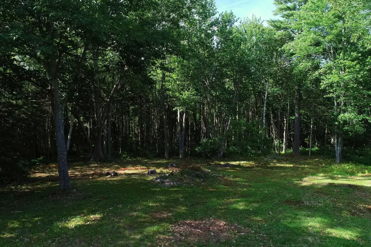Waldoboro, ME 04572,29 Backmeadow RD