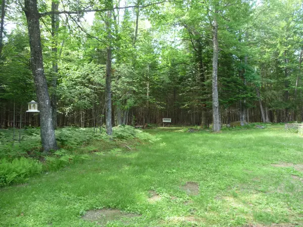 Kingfield, ME 04947,45 Indian Stream RD